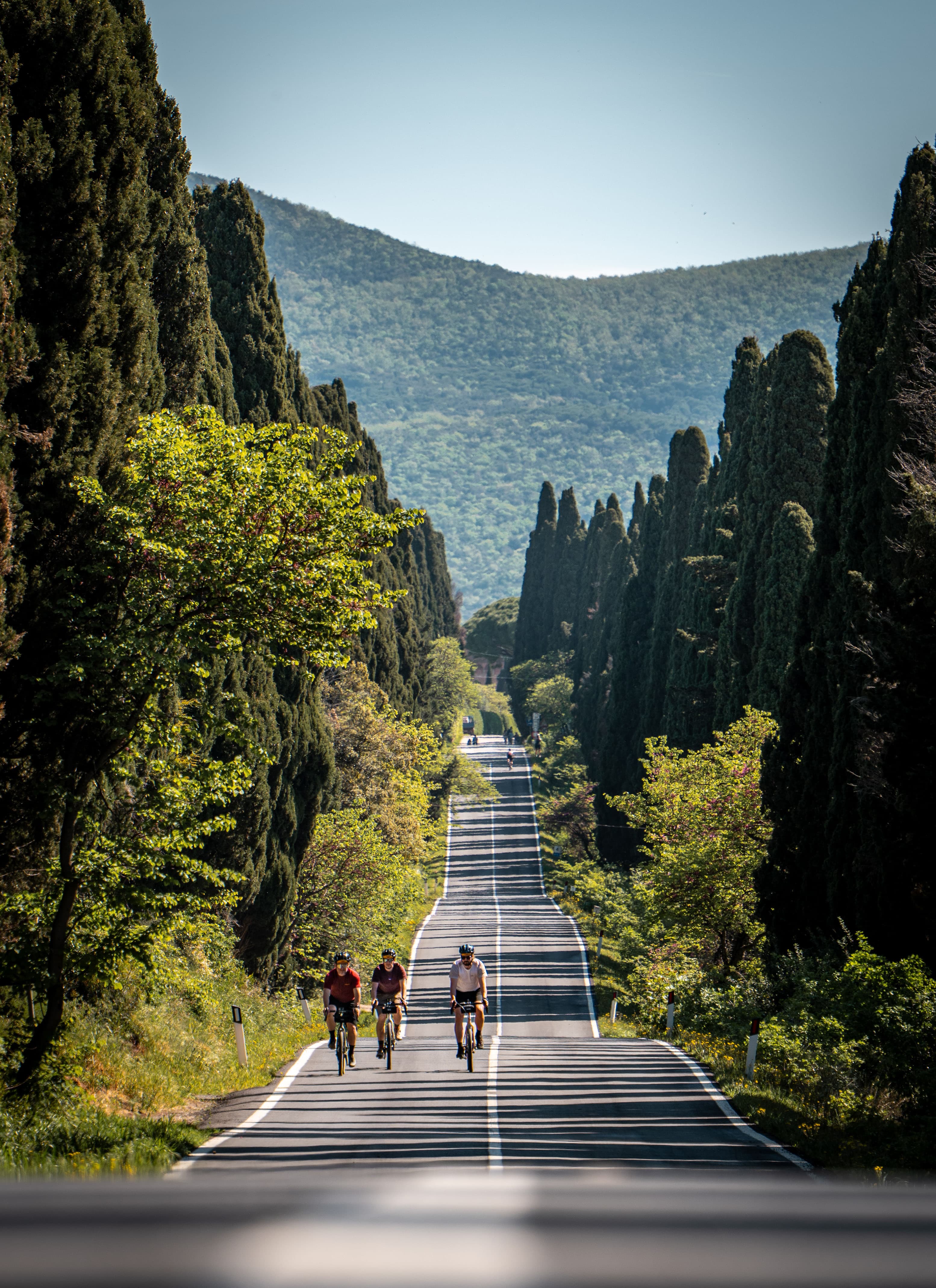 Tre ciclisti lungo il Viale dei Cipressi di Bolgheri