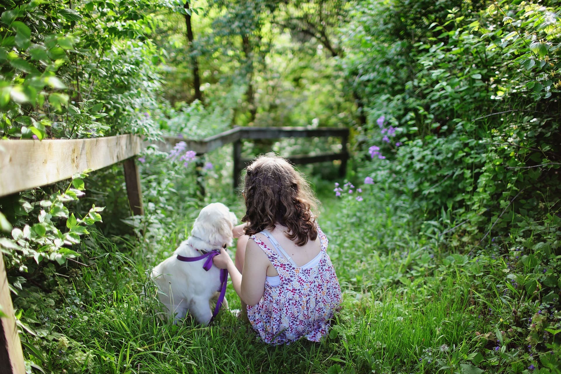 Niña con su perro en un sendero verde — imagen de portada para unas vacaciones familiares inolvidables en la Toscana