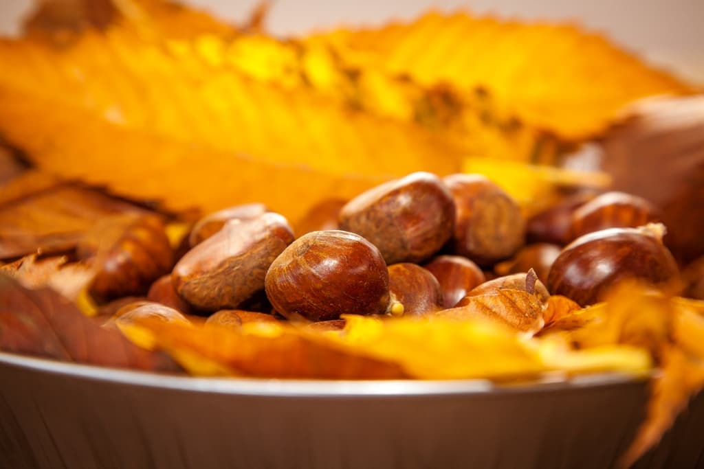Caprese Michelangelo e i suoi sapori: le castagne