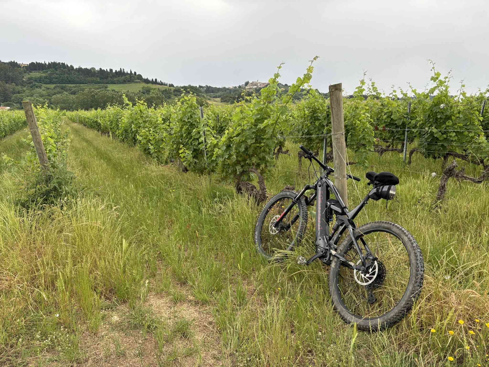 Tour guidato in e-bike di Lucca con degustazione di vini