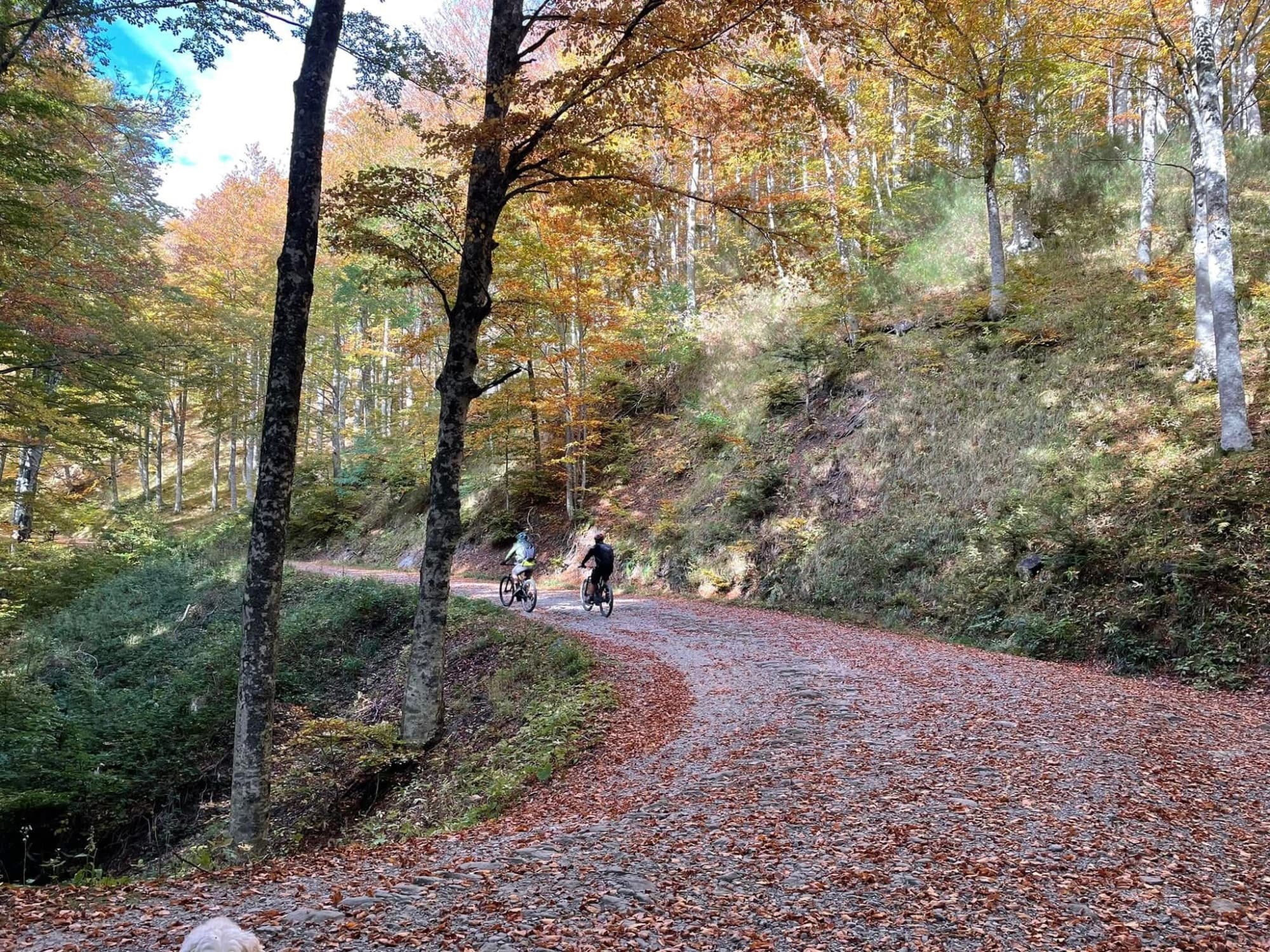 In bici lungo una delle piste forestali