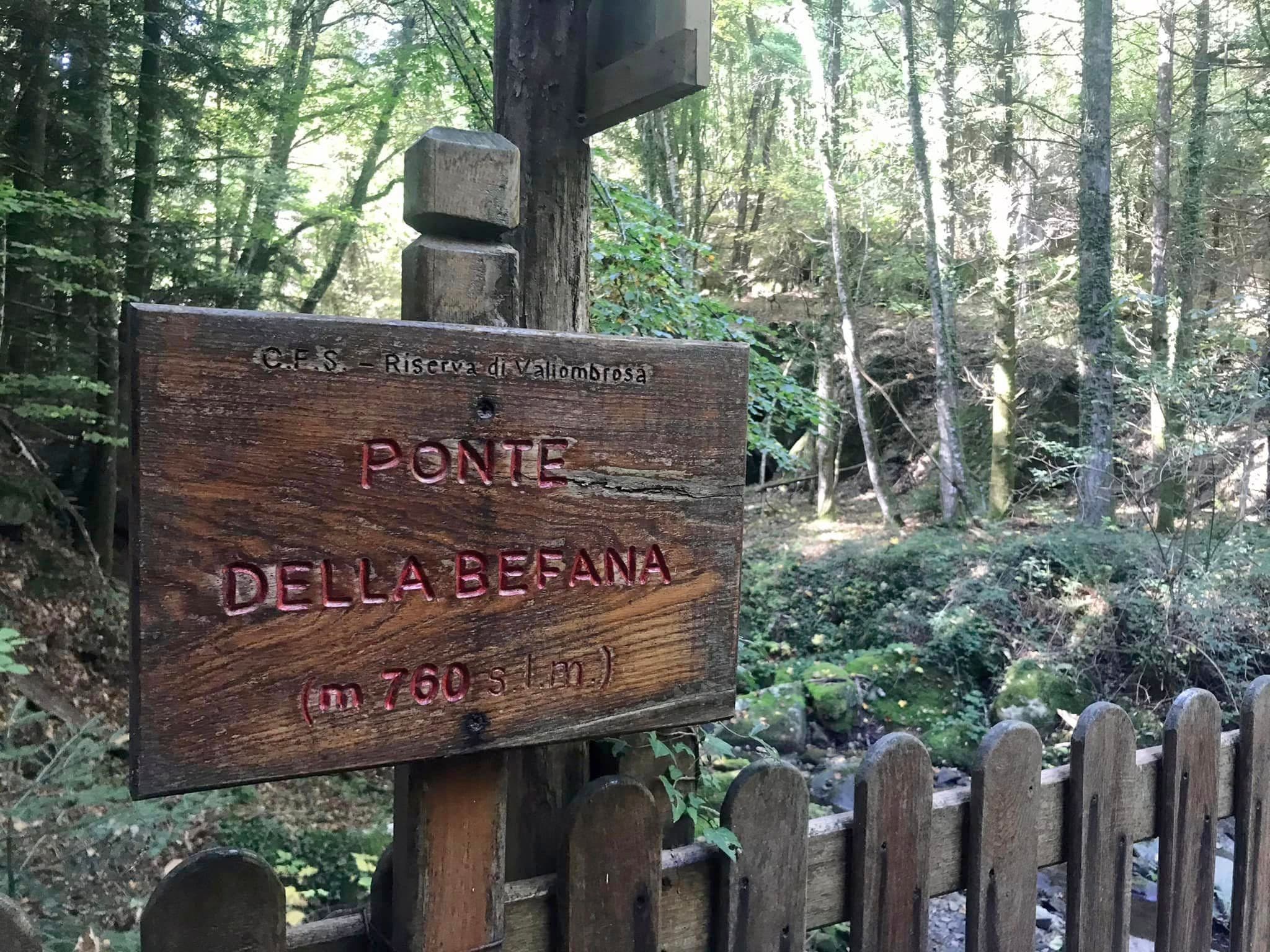 Cartello in legno intagliato con la scritta "Ponte della Befana – m 760 s.l.m." appartenente alla C.F.S. Riserva di Vallombrosa, fissato su un palo all'ingresso di un sentiero boschivo con staccionata in legno