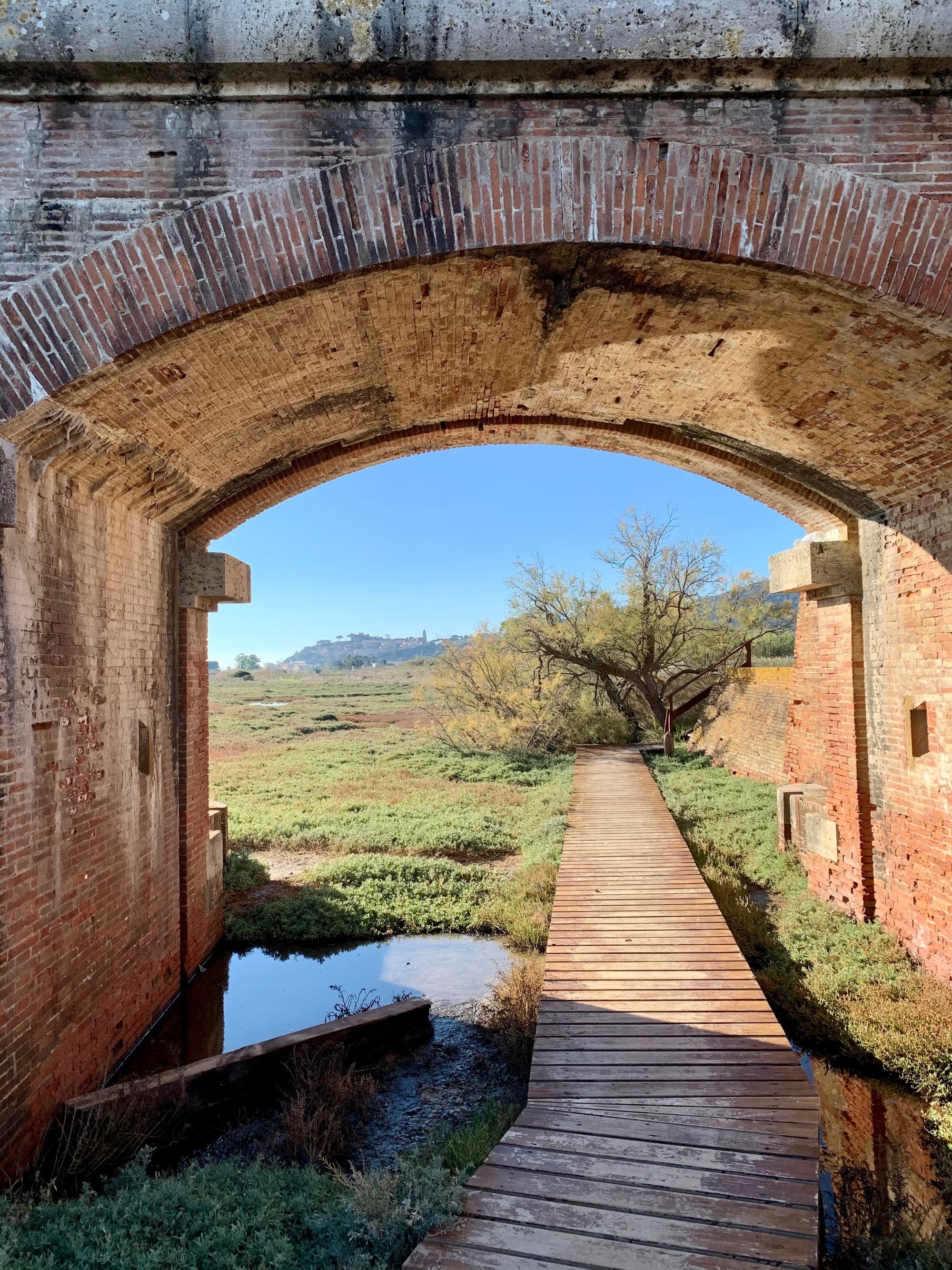 Tour of Castiglione della Pescaia, from the Aragonese Castle to the Diaccia Botrona Natural Reserve