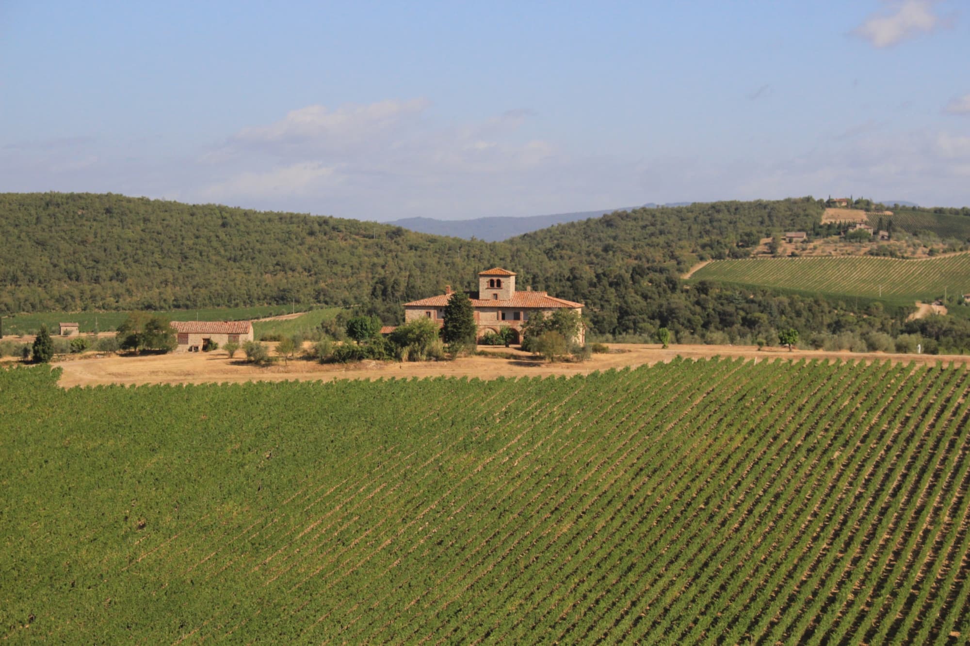 Brolio-vineyards