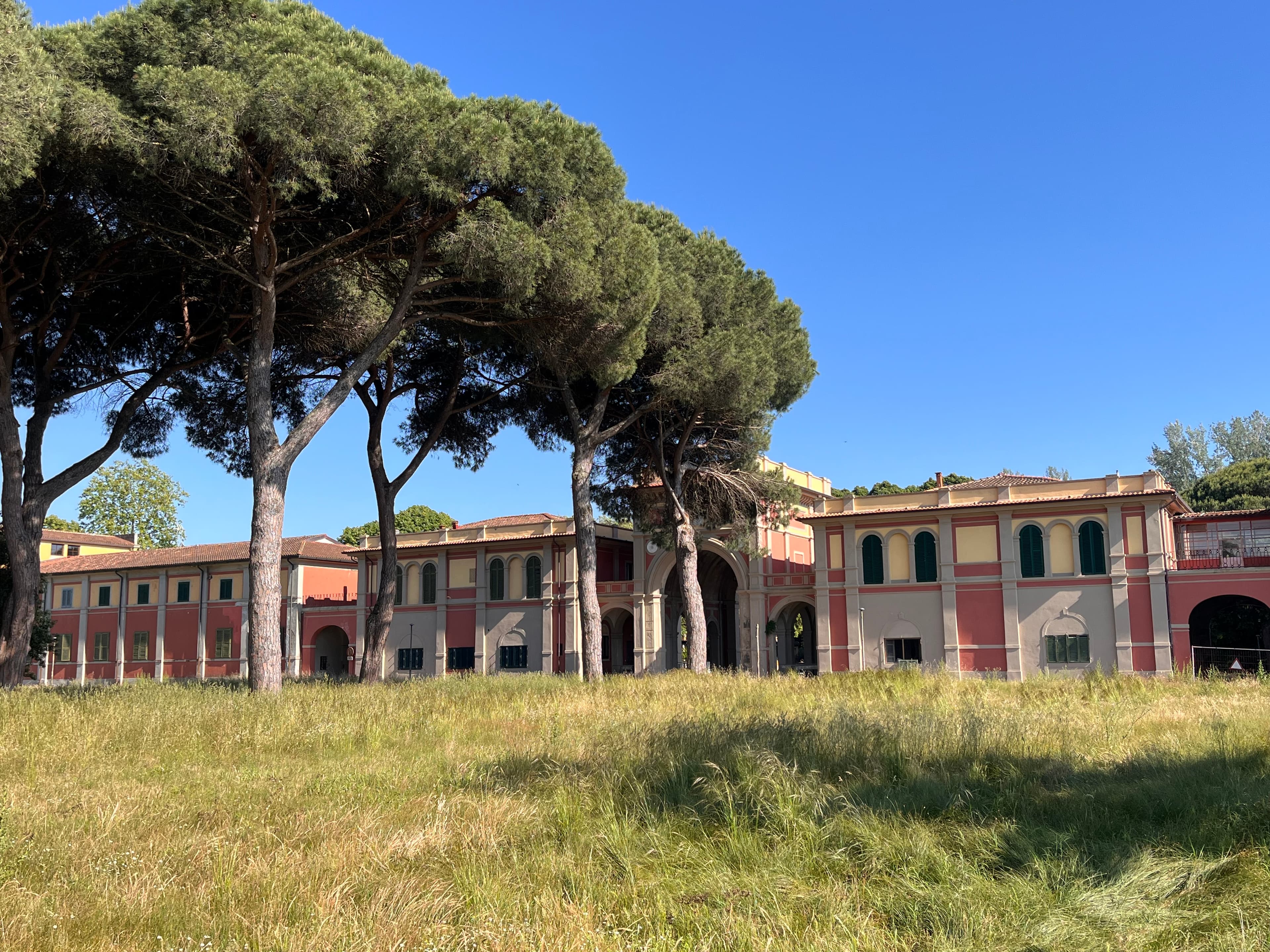 San Rossore: trekking tra Cascine Vecchie e Cascine Nuove