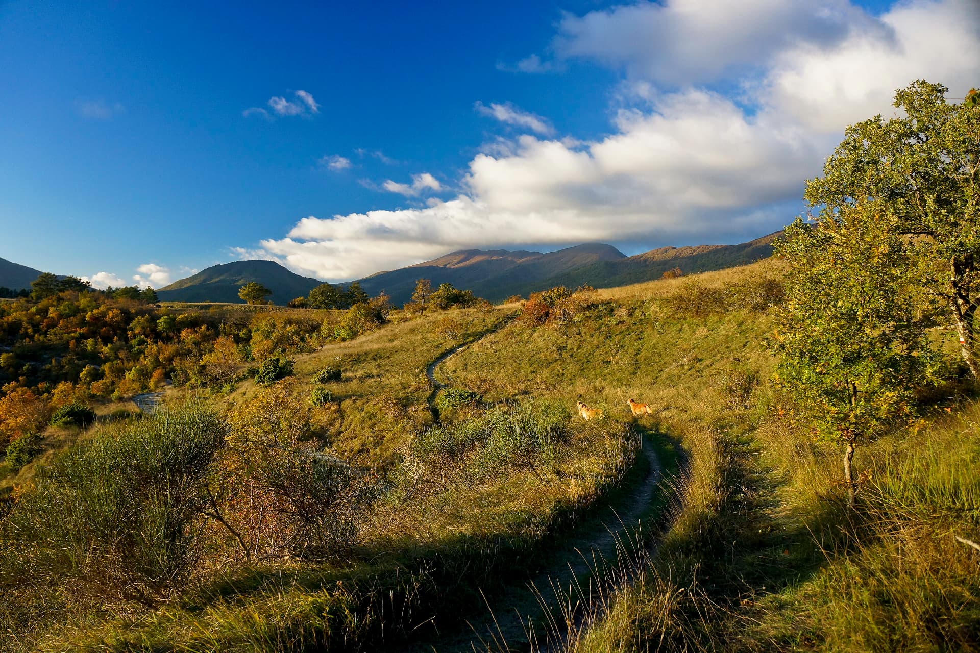 Panorama del Alpe de la Luna