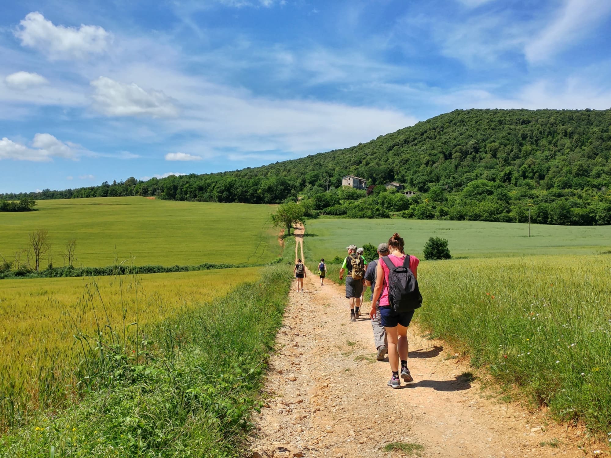 In cammino lungo la Francigena vicino a Monteriggioni