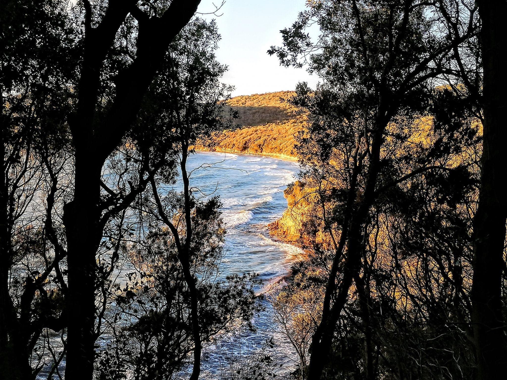 Vista della costa maremmana tra gli alberi della macchia mediterranea, lungo sentieri panoramici raggiungibili partendo da Follonica