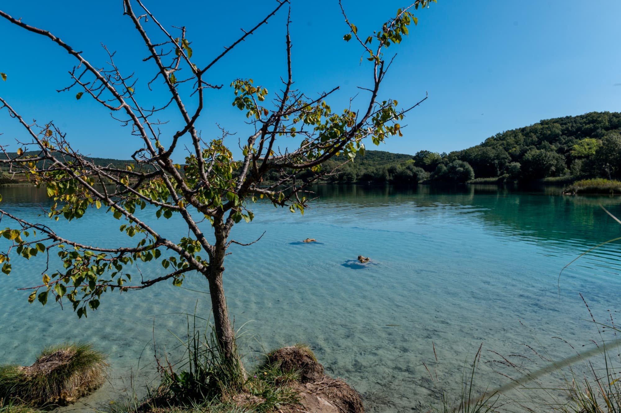 Il Lago dell'Accesa
