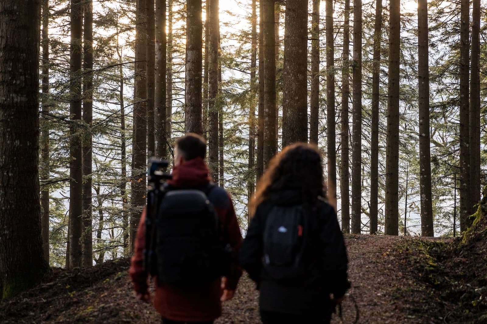 Due persone di spalle lungo un sentiero del Parco delle Foreste Casentinesi
