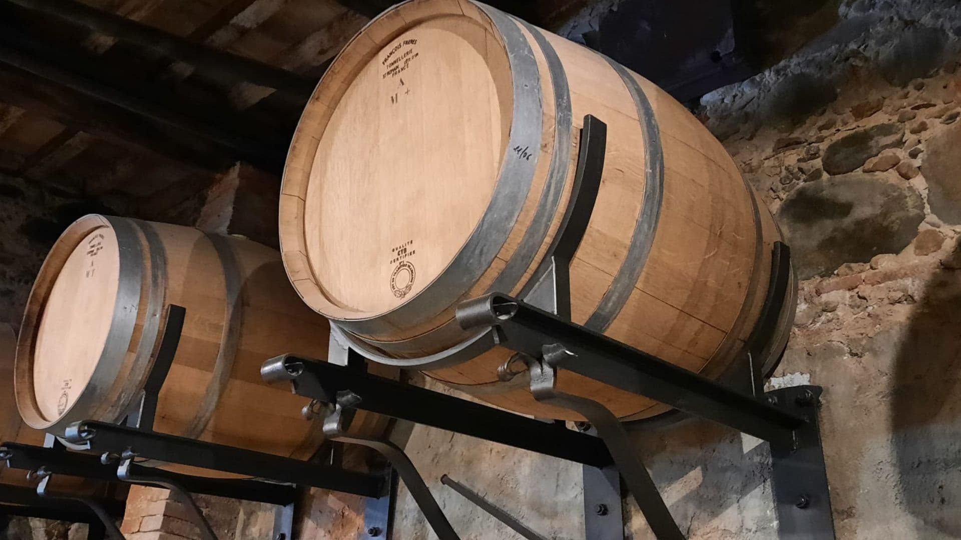 Wine Experience in azienda vinicola