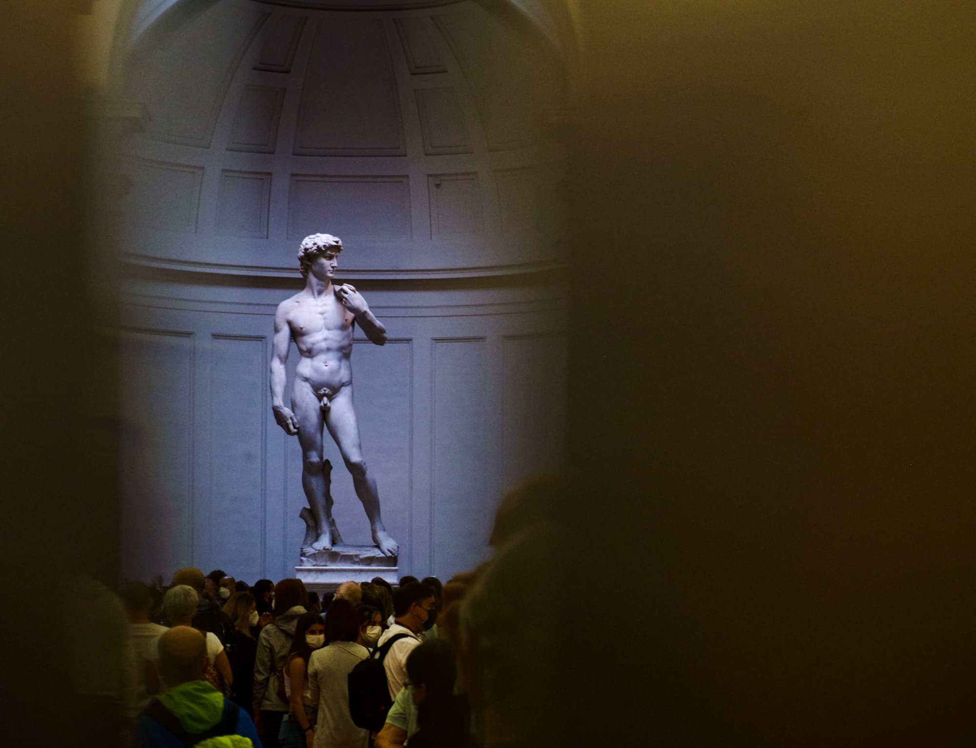 Tour esclusivo serale del David di Michelangelo