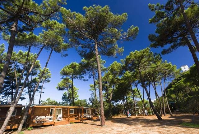 PuntAla Camp & Resort lungo la costa Tirrenica Toscana