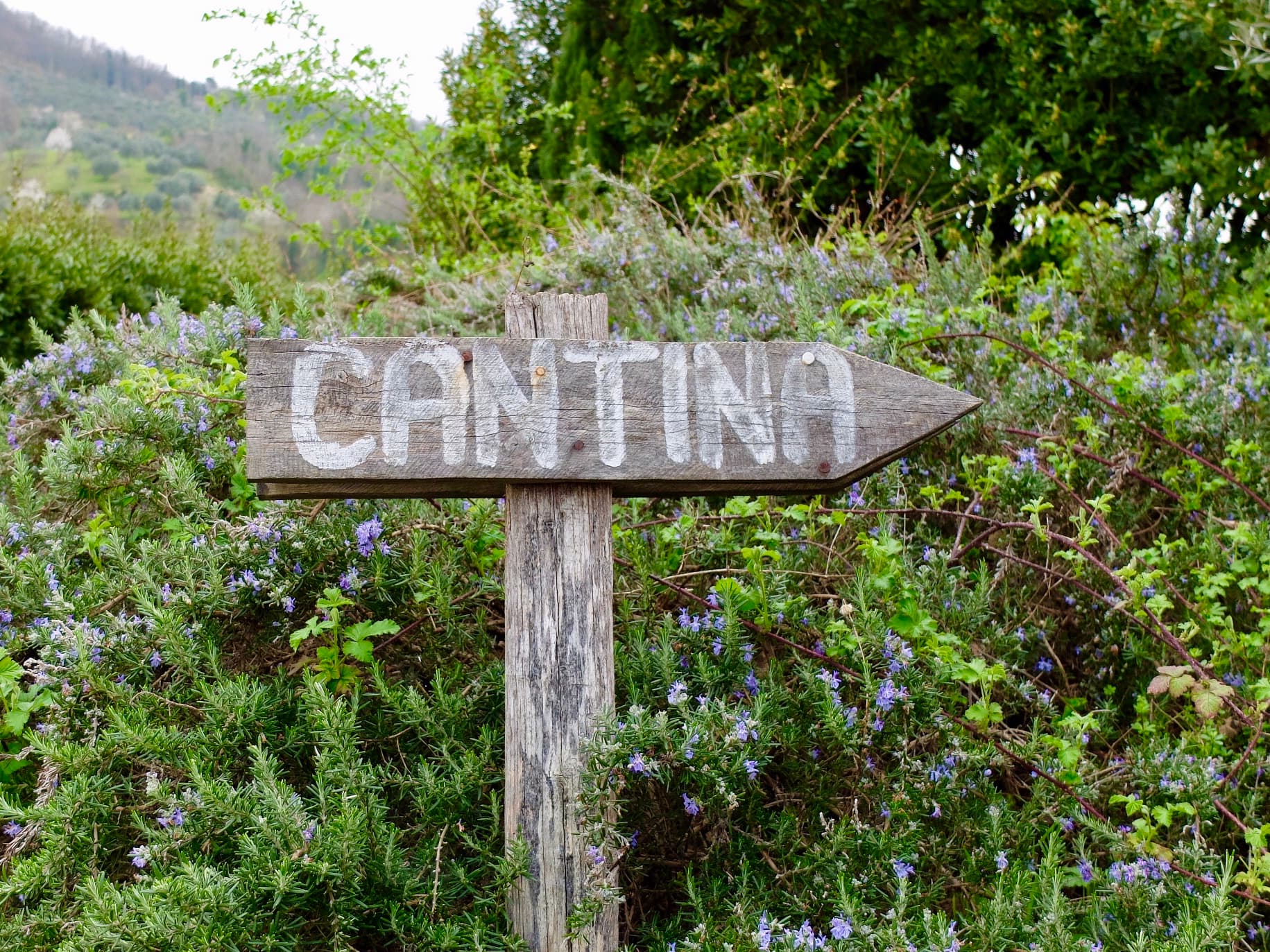 Cantina in Mugello