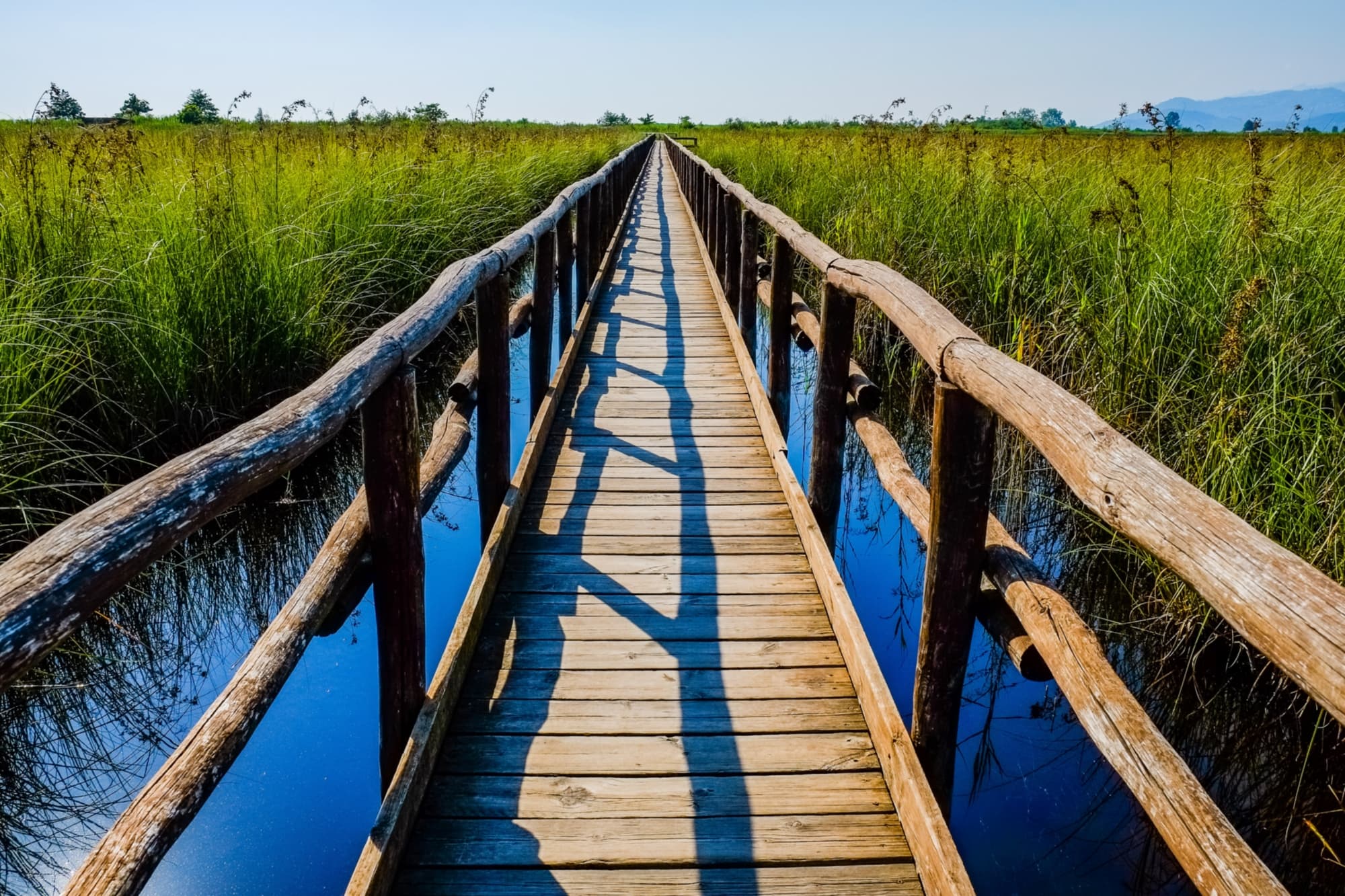 Oasi di Massaciuccoli
