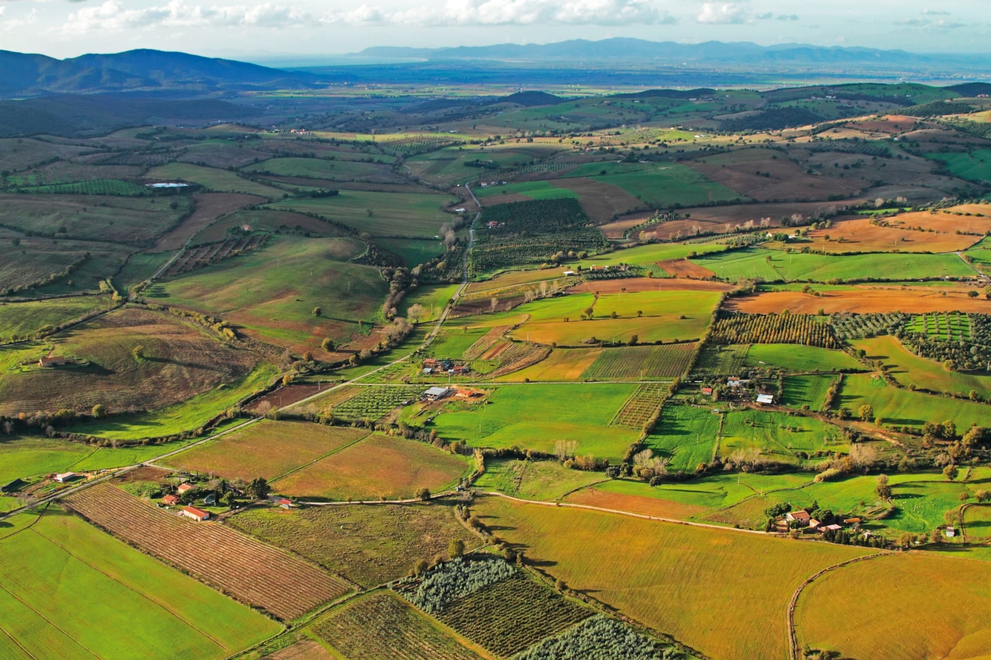 contryside-Magliano-in-Toscana