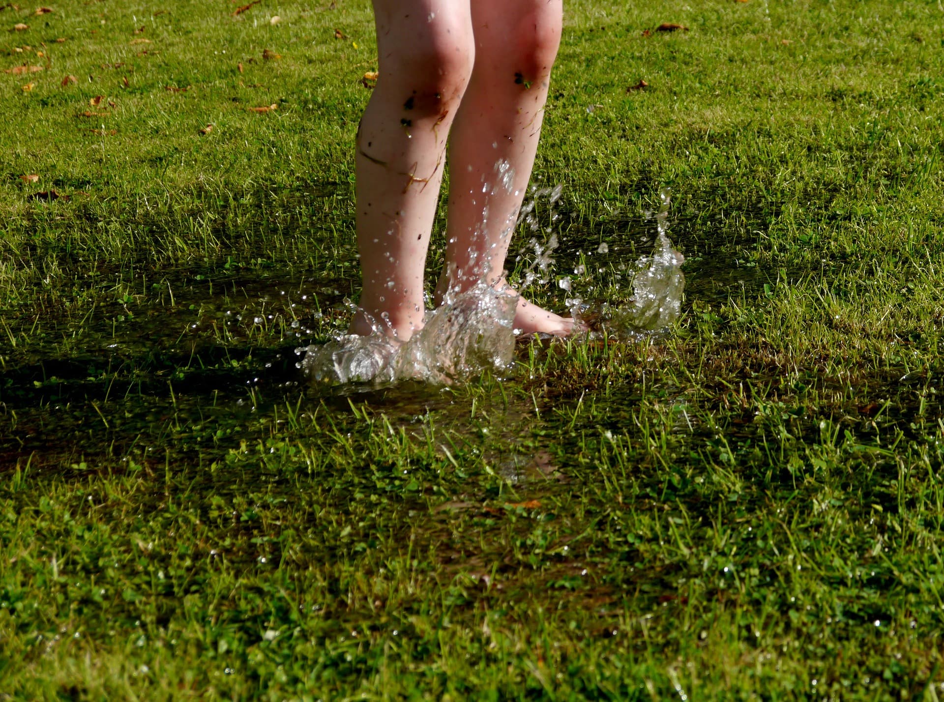 Un enfant dans un pré