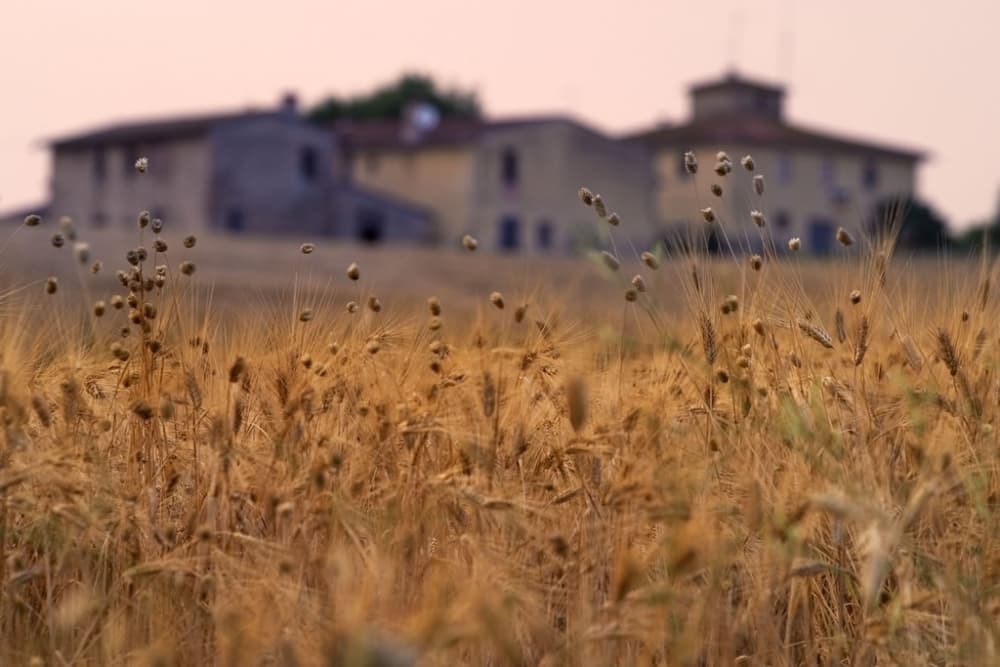 Panorama sulla campagna