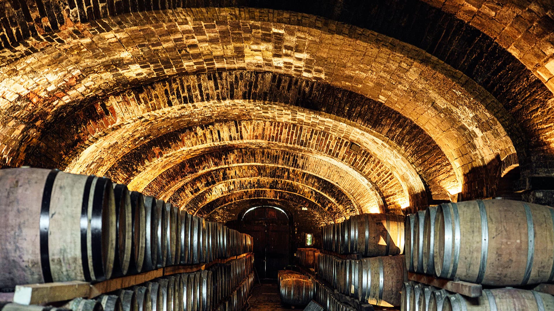 Visita presso la cantina della famiglia Ferragamo: perfetta per amanti del vino e della moda, menù gourmet con abbinamento vini biologici