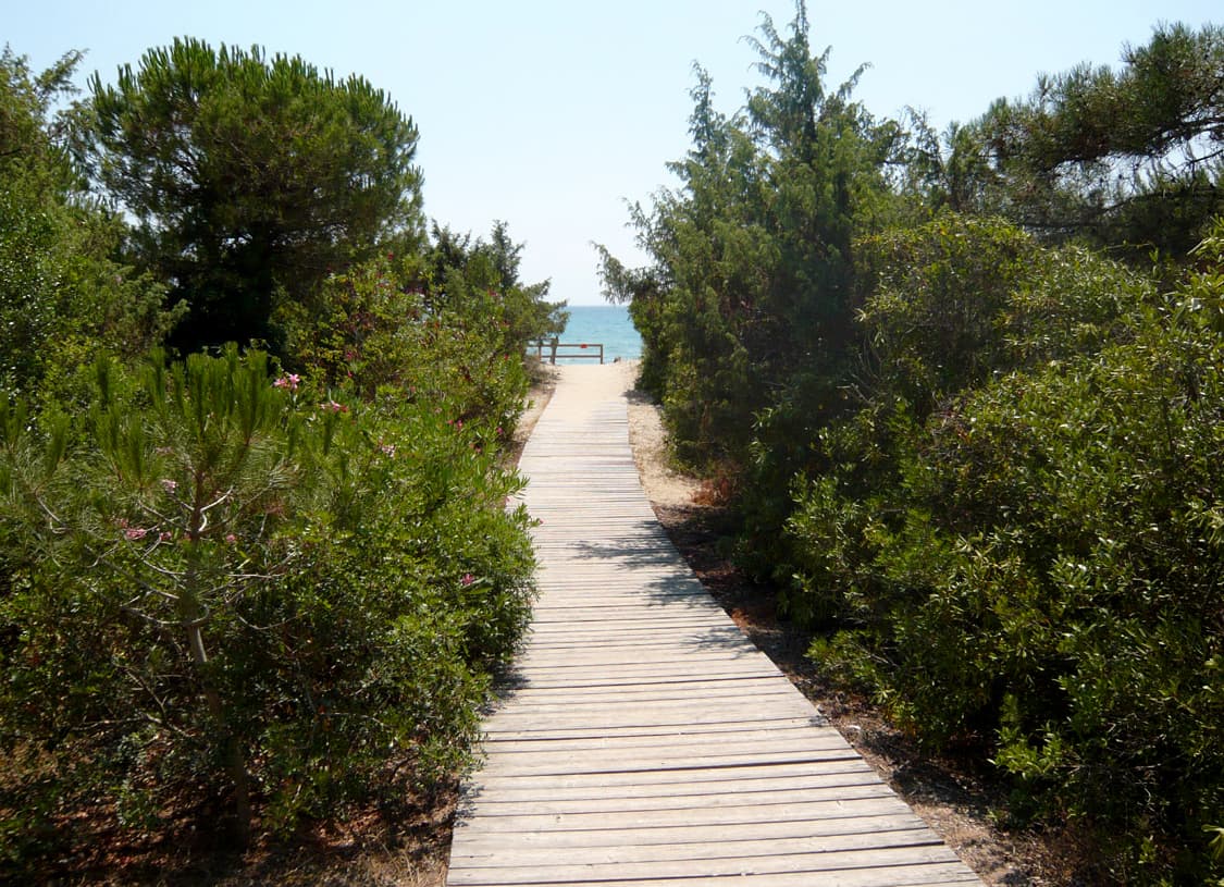 Parco costiero della Sterpaia