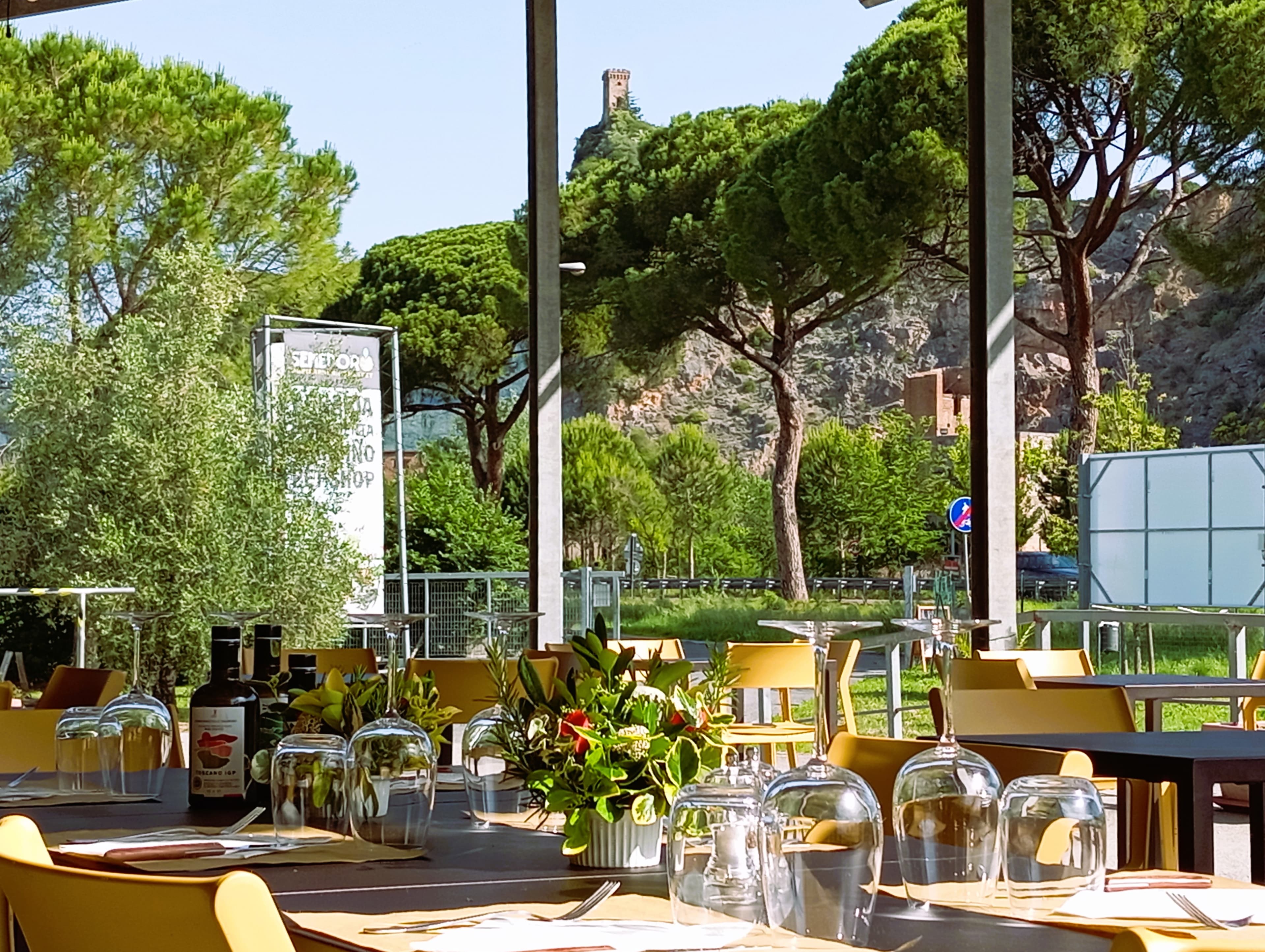 Degustazione e visita in frantoio del Monte Pisano