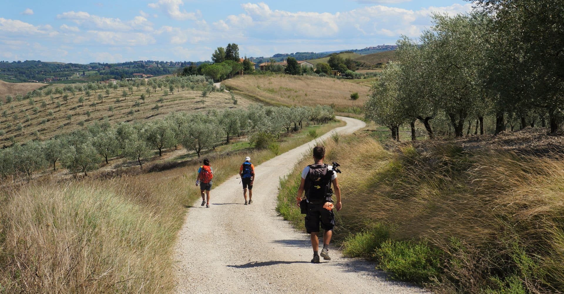 Eight-day trekking from Lucca to Siena along the Via Francigena