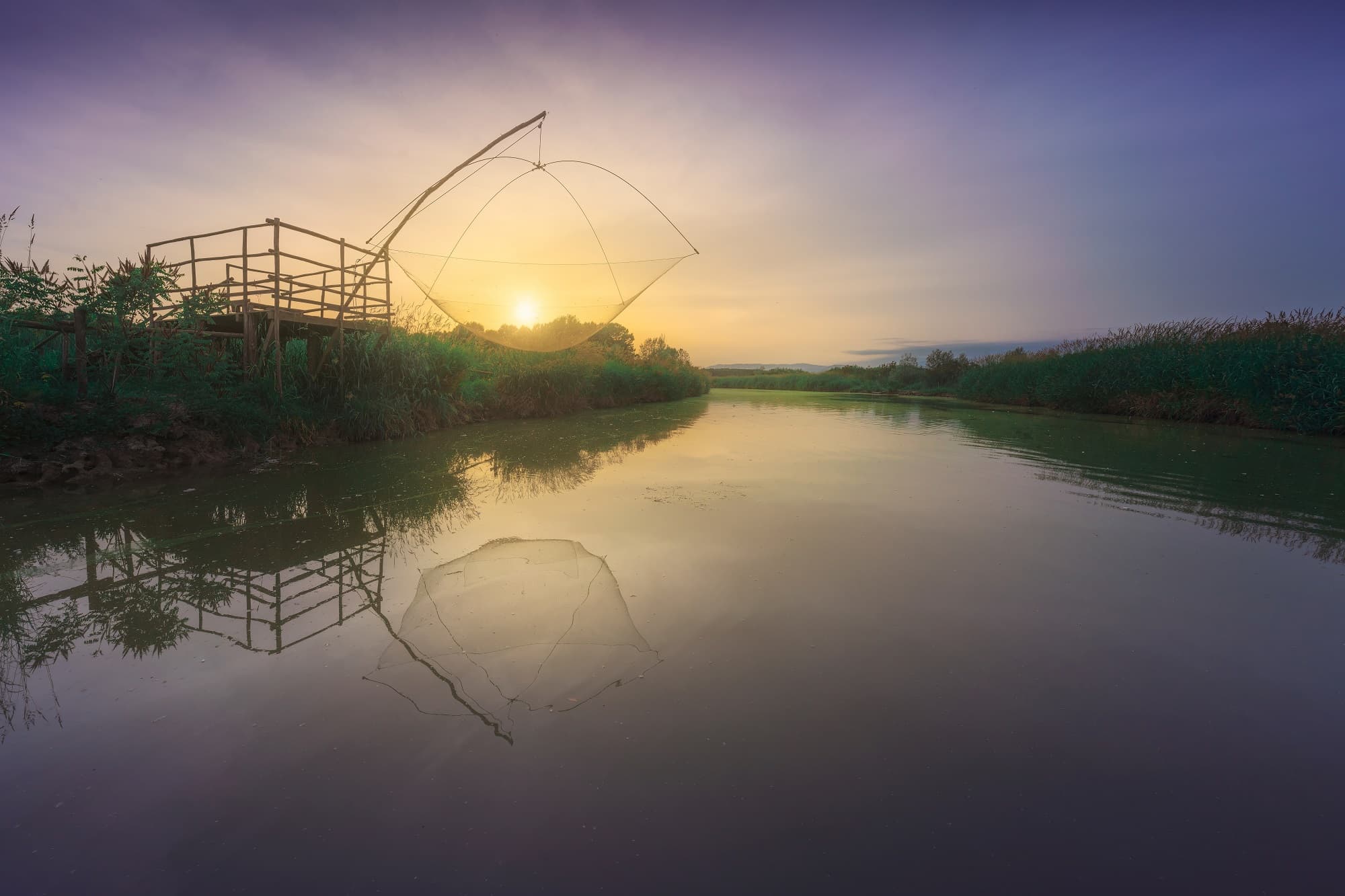 Padule di Fucecchio (Fucecchio Marsh)