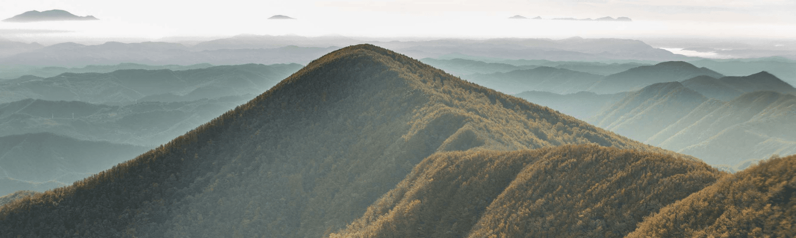 Parco Storico della Linea Gotica di Badia Tedalda