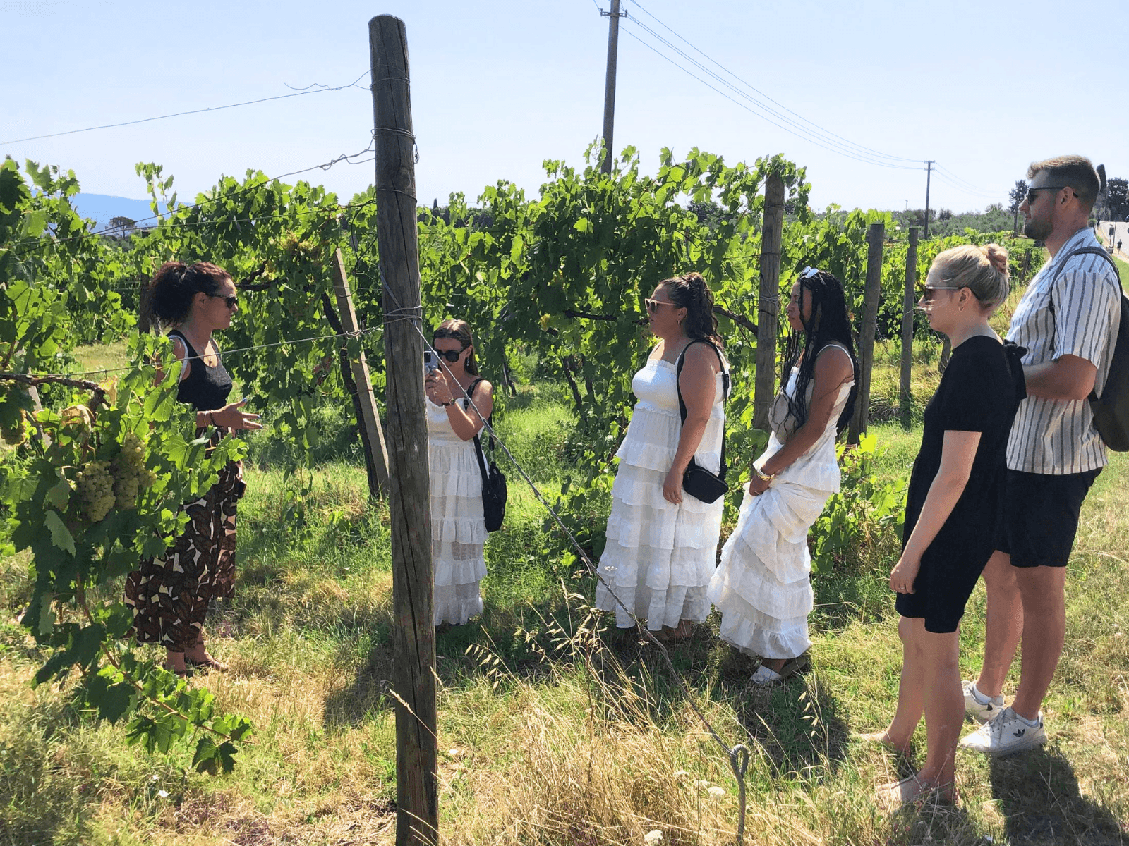 Vineyard visit and property visit