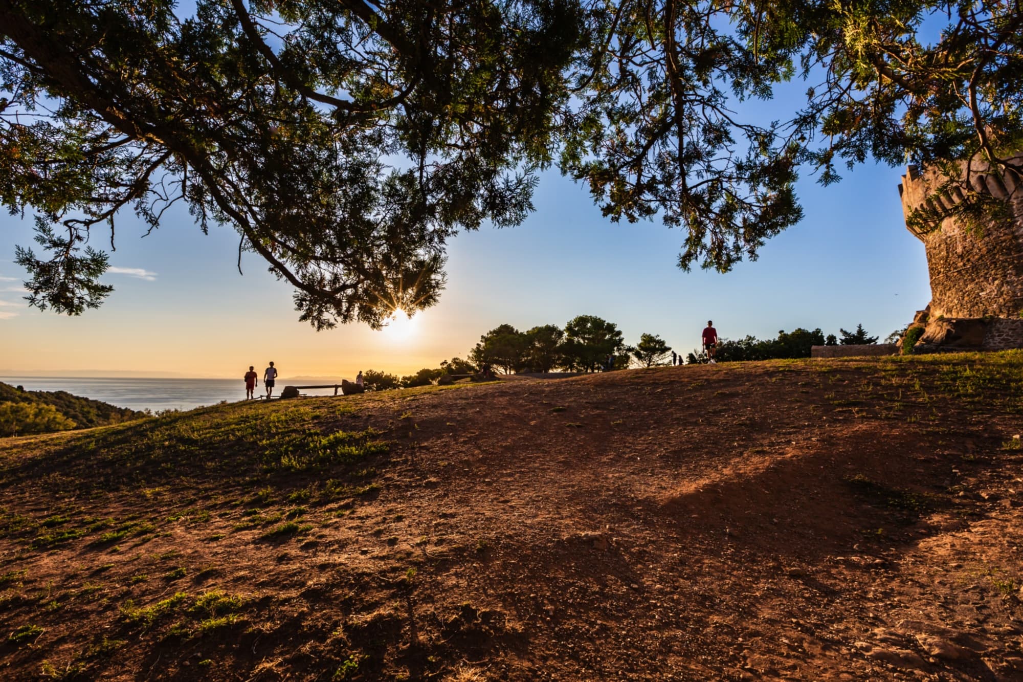Populonia 