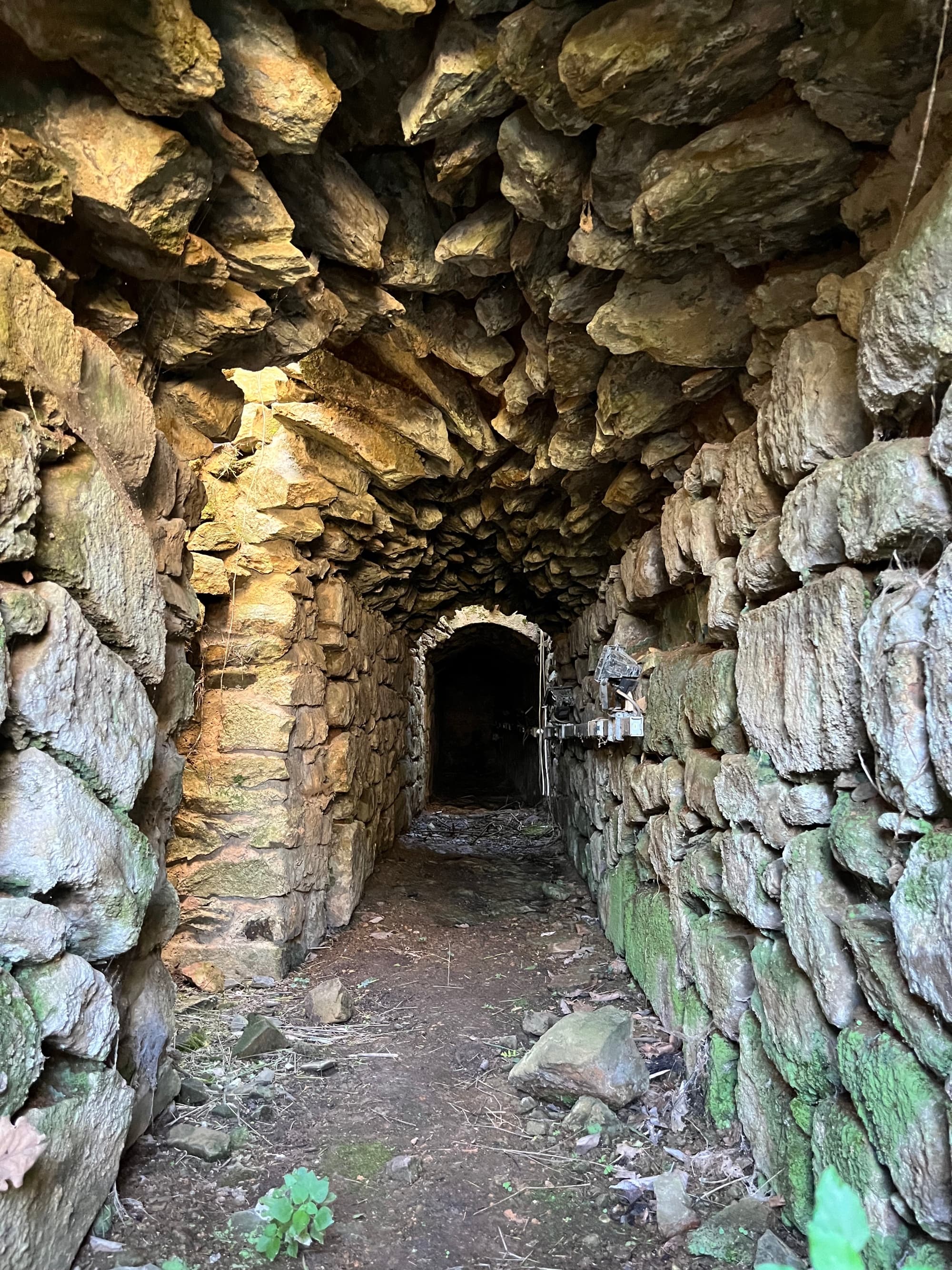 Vetulonia, discovering the etruscans of Maremma