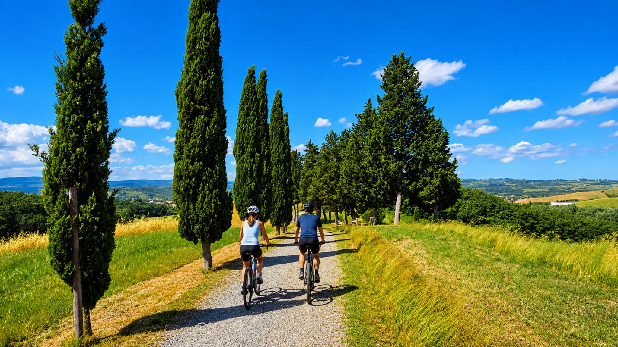 Two cyclists ride a cypress-lined avenue through the fields of the Tuscan countryside near Certaldo