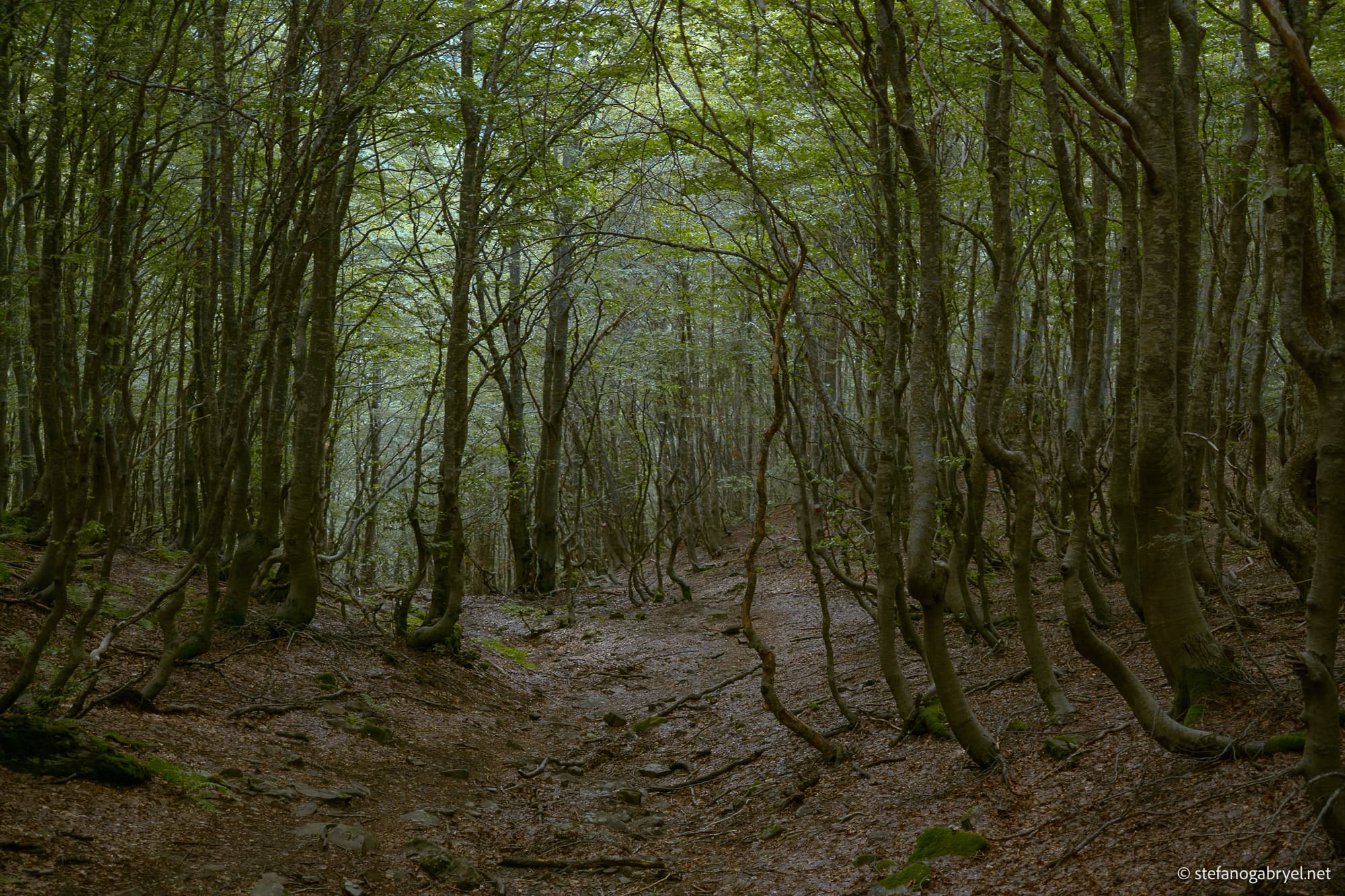 Hike to Lago Nero in the Tuscan-Emilian Apennines