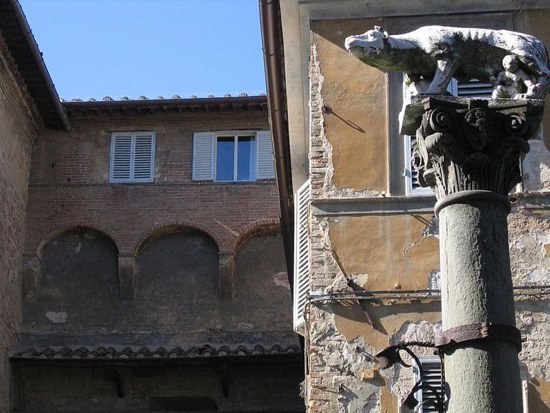 La lupa a Siena