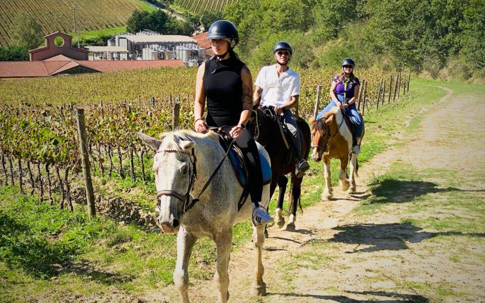 Horseback riding through Chianti rolling hills
