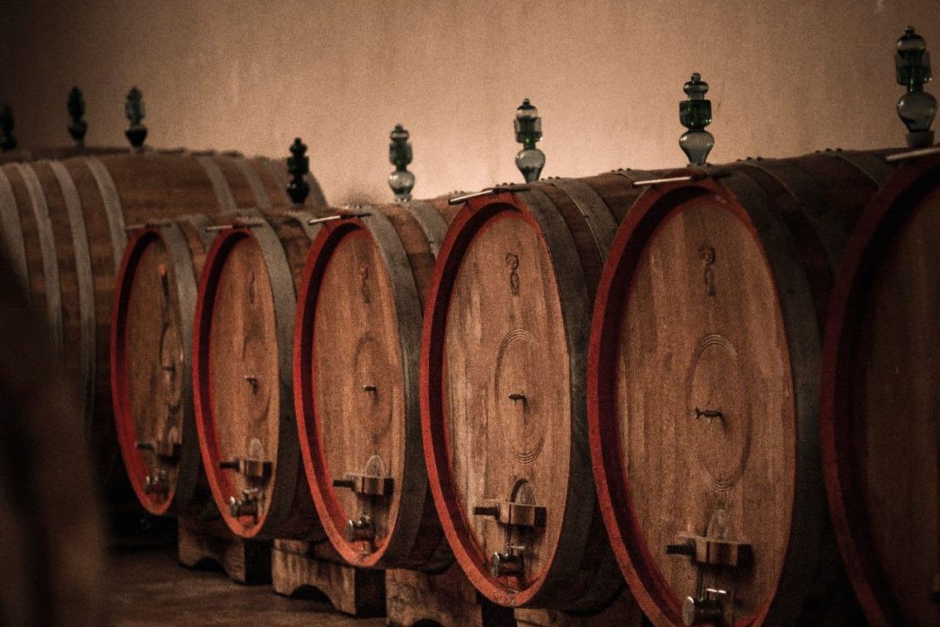 Tasting tour at the historical cellars of Montepulciano