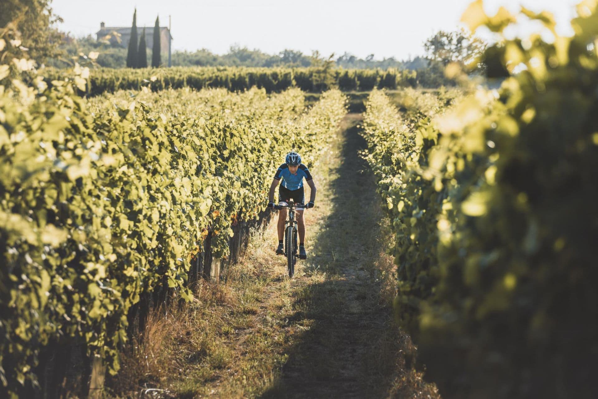 Un'esperienza che combina il tour in e-Bike con la visita e degustazione sulle colline di Montepulciano