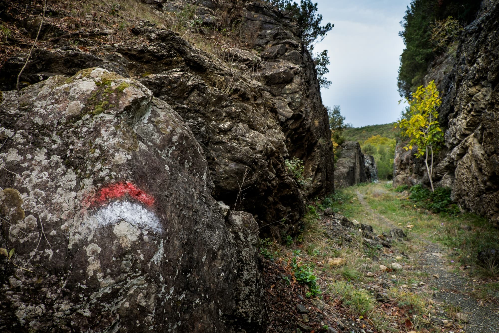 Riserva Naturale di Monterufoli