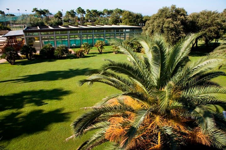 El parque del complejo Termas de la Versilia Villa Undulna, con césped verde y palmeras.