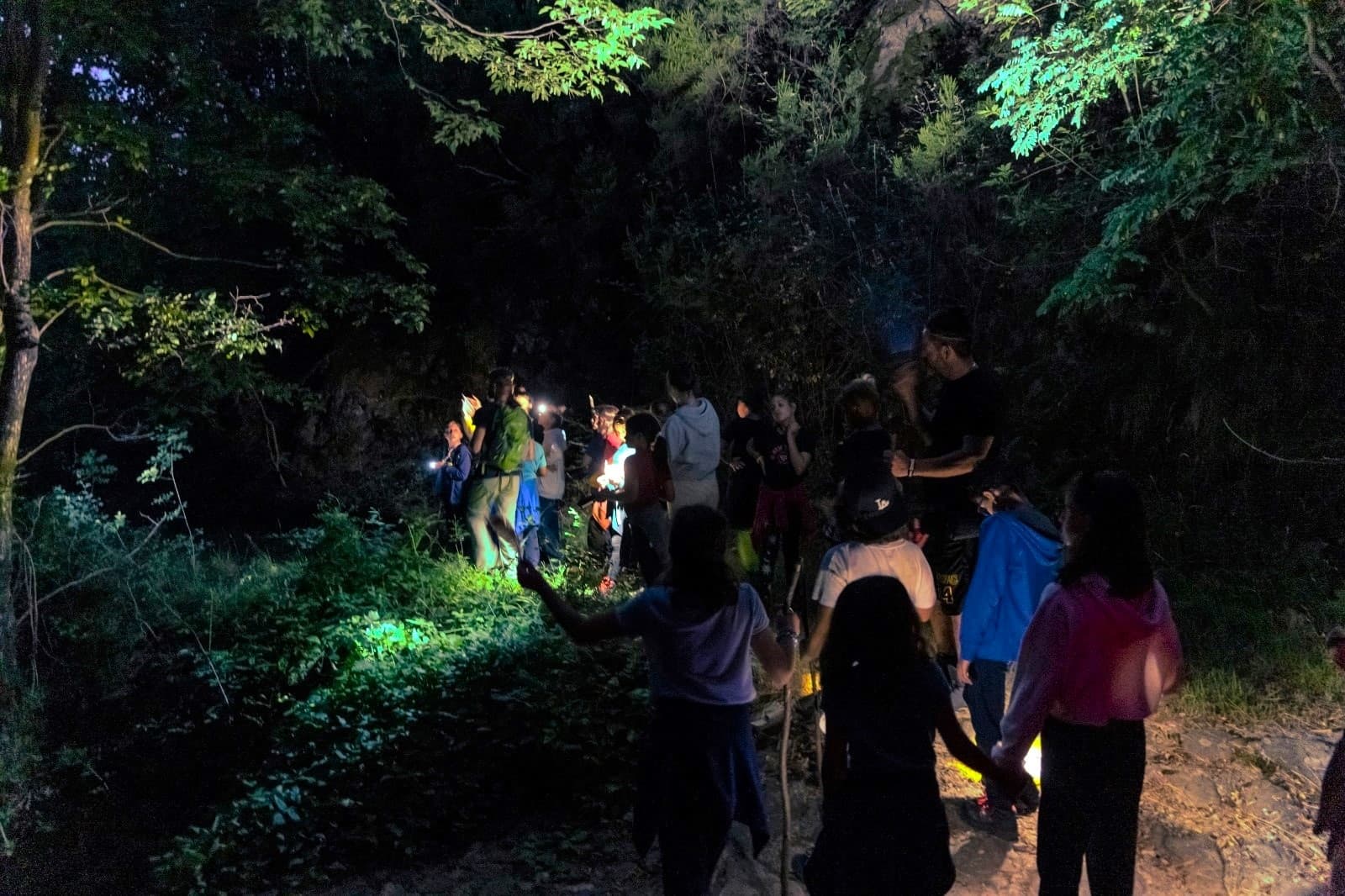 Il Bosco di Notte