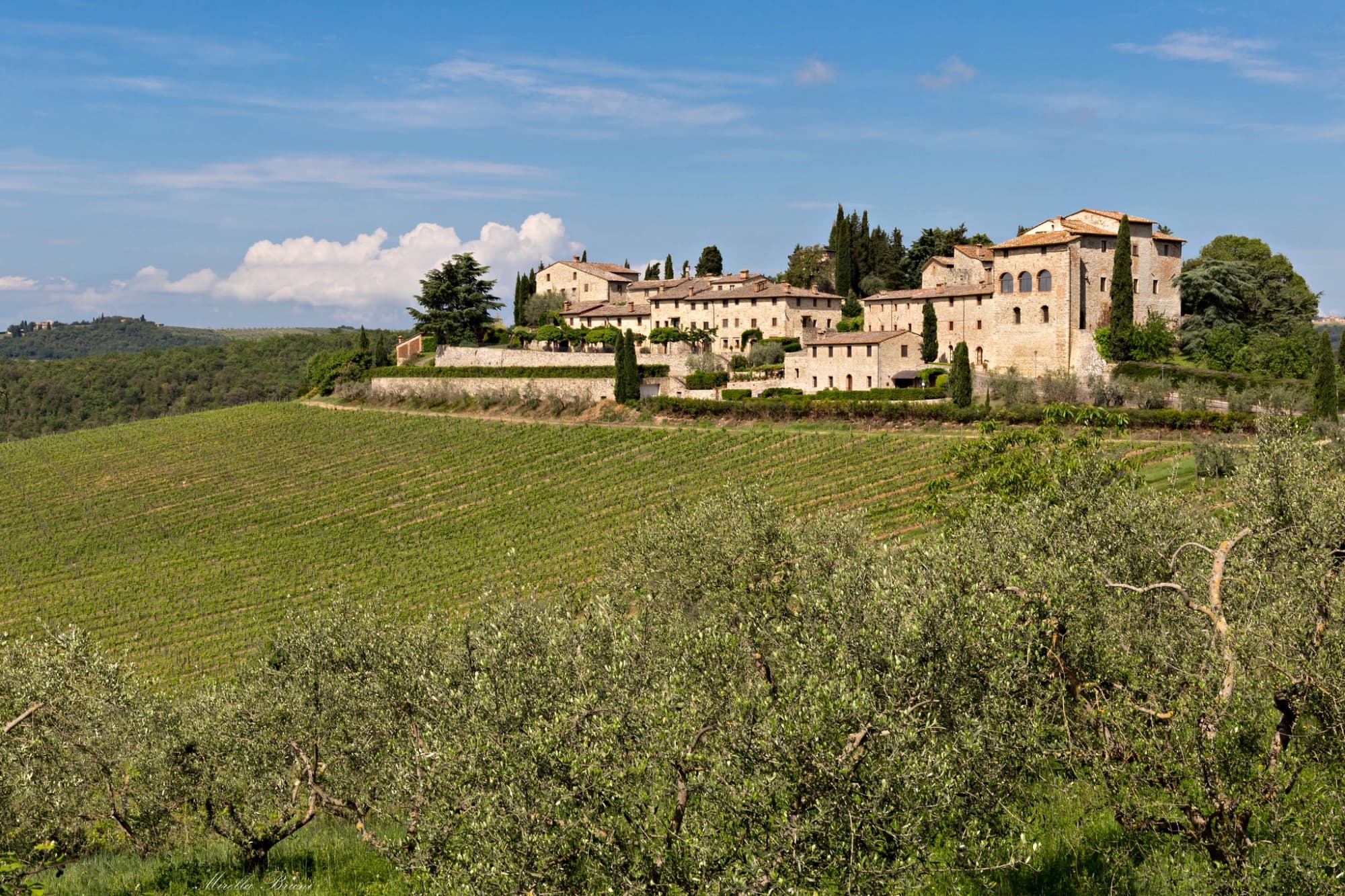 Castle of Lucignano, Chianti