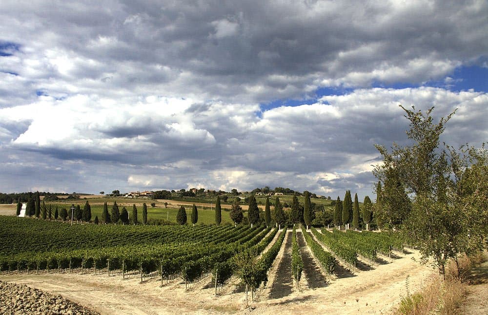 Orcia Doc