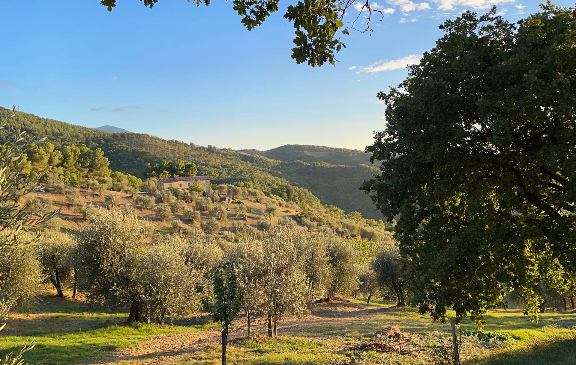 Agriturismo Bindozzino: la casa de campo y las tierras de cultivo
