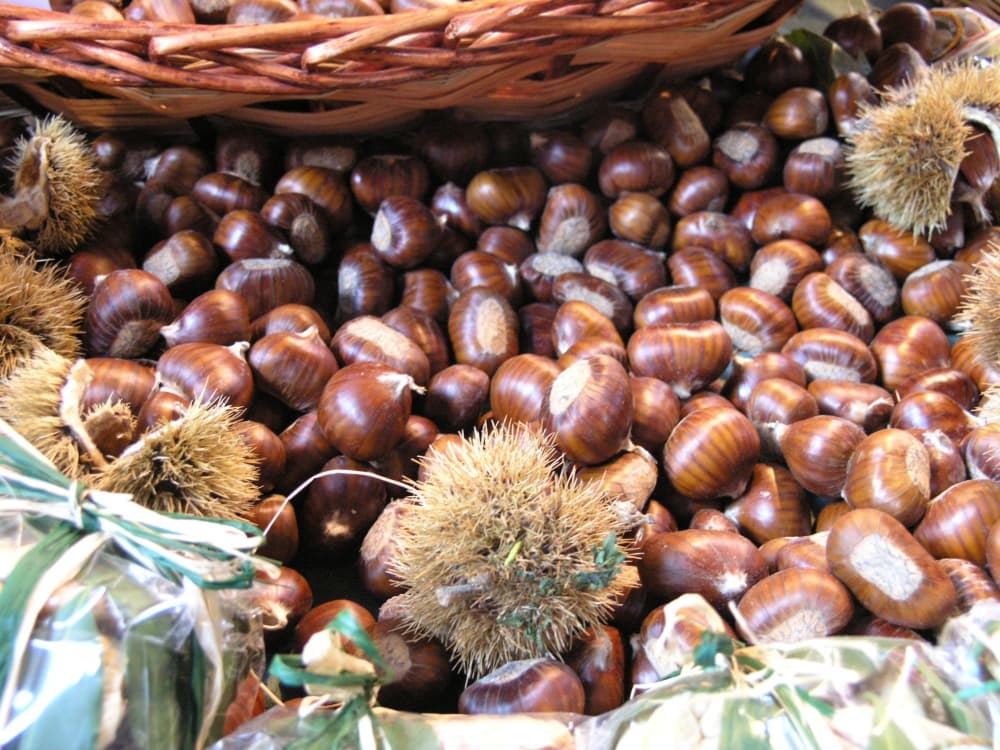 Castagne della Val di Bisenzio