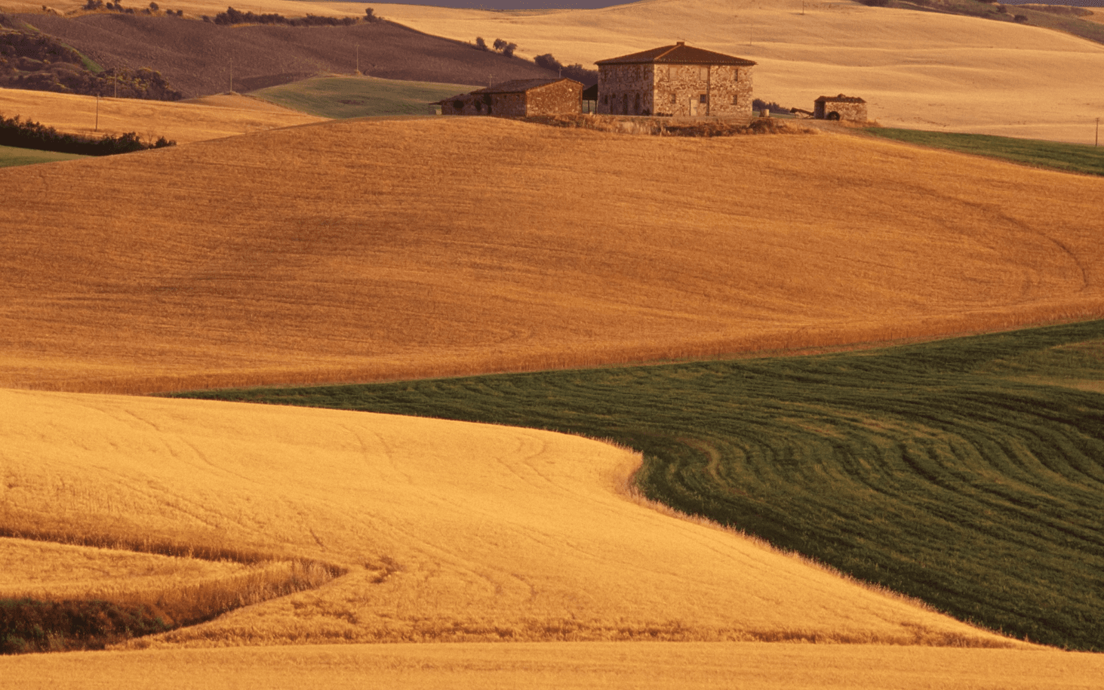 Typical landscape of the countryside in Tuscany