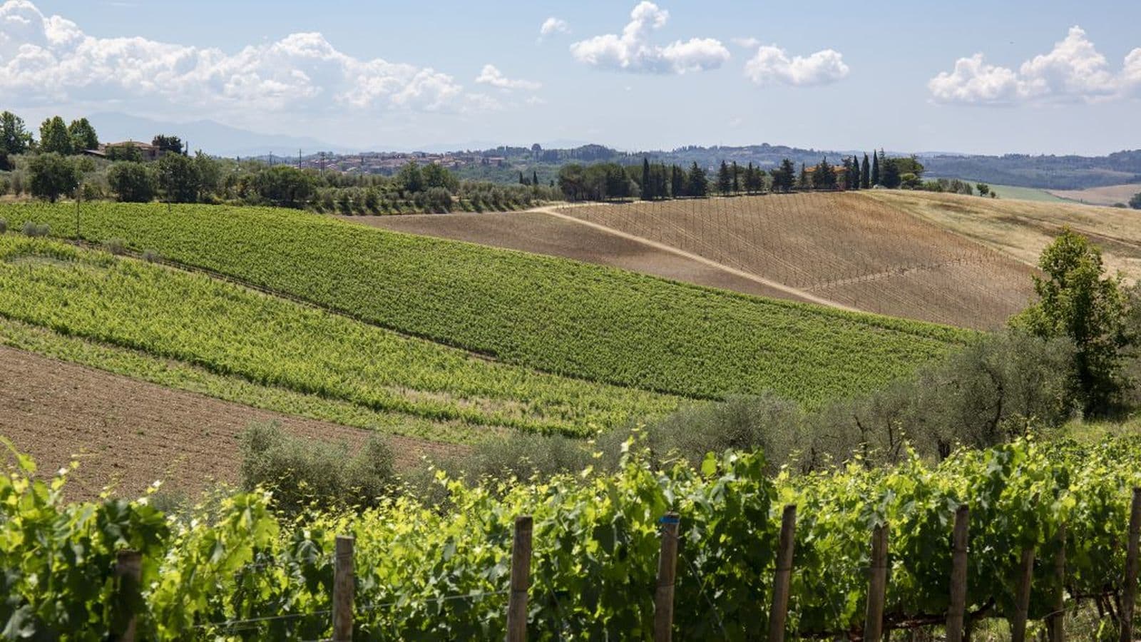 Chianti