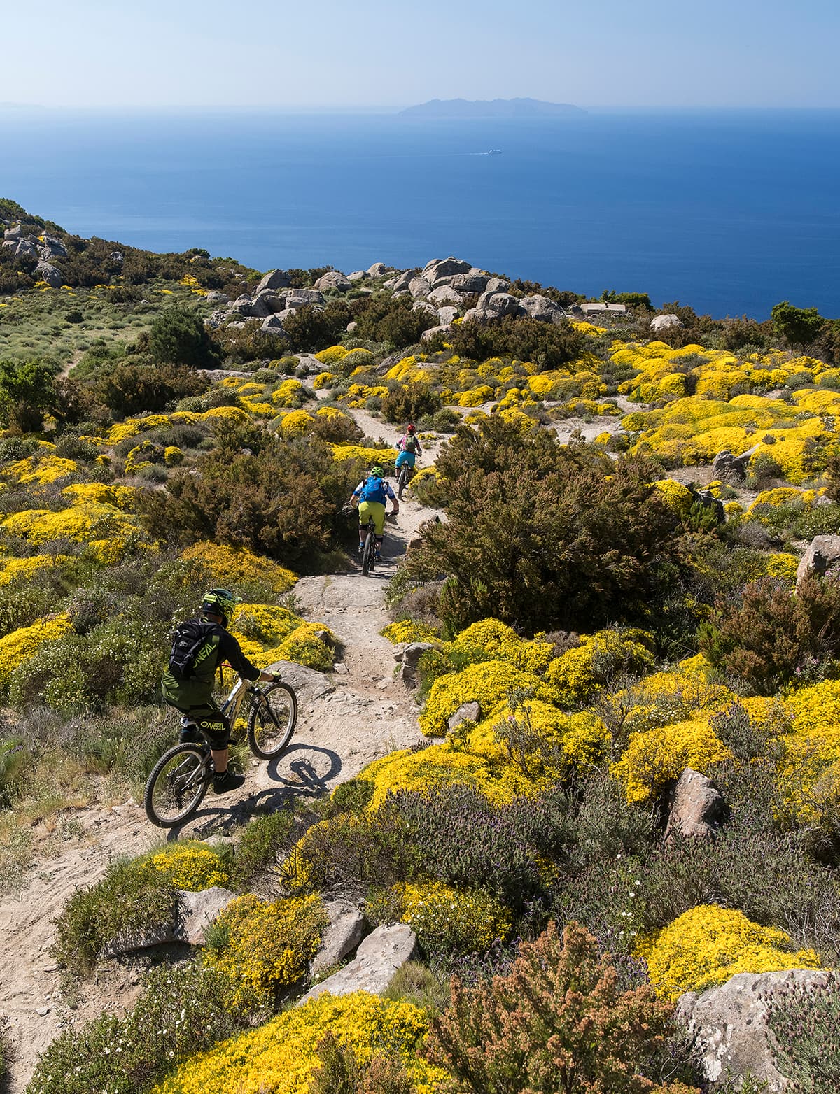 Persone in bicicletta sull’isola d’Elba, percorrendo strade panoramiche tra mare e colline, con paesaggi mediterranei e vegetazione costiera intorno.