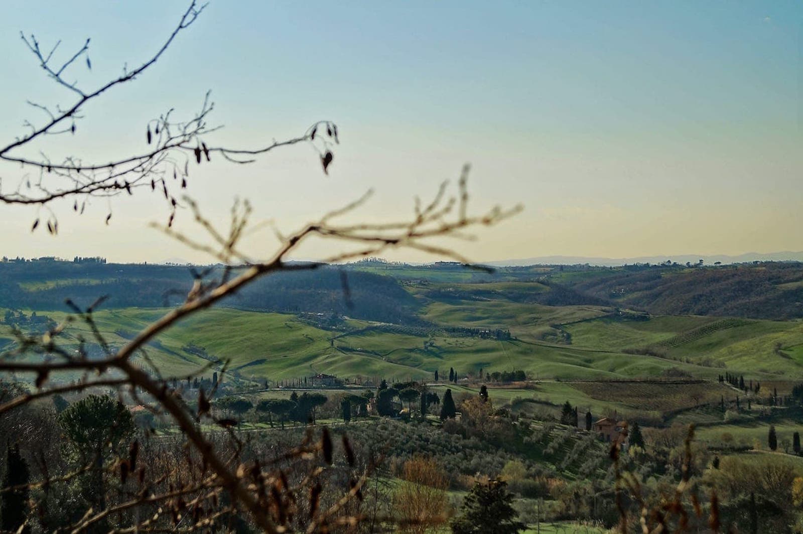 Valdichiana Senese 