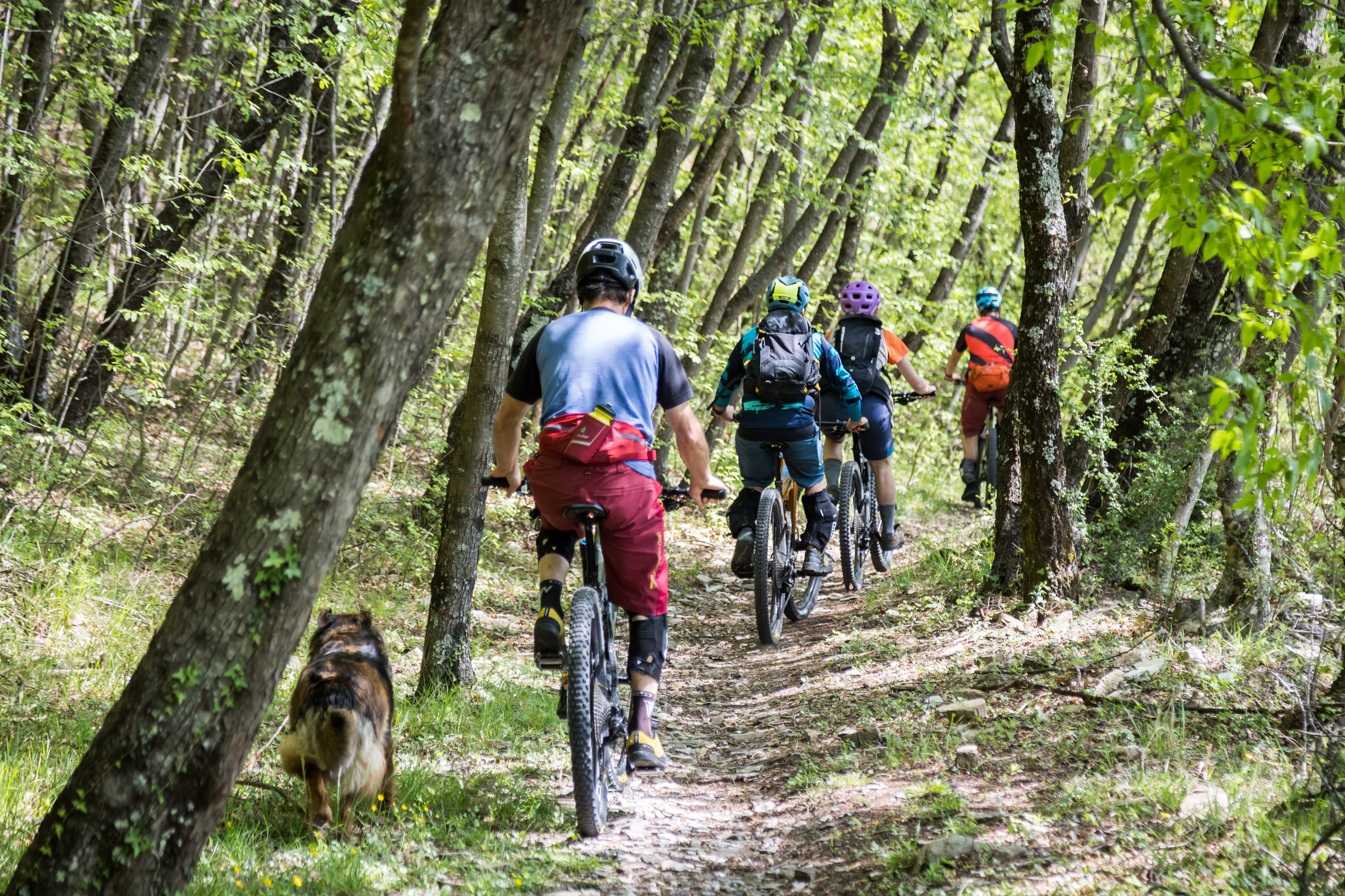 Sui sentieri di Lunigiana Bike Area in mtb