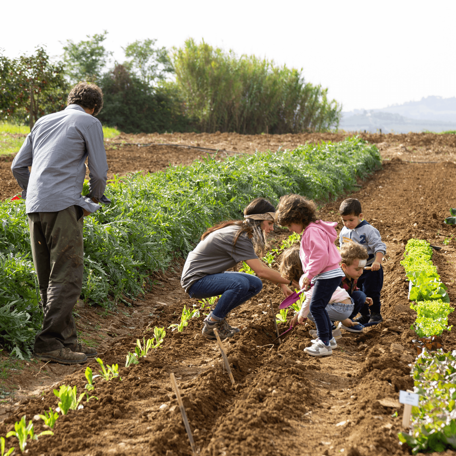 Experience the Farm, planting vegetables